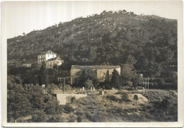 D 83 BORMES LES MIMOSAS.CARTE PHOTO LUCARELLI - Bormes-les-Mimosas