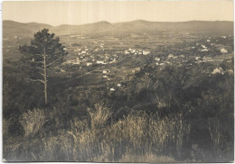 D 83 BORMES LES MIMOSAS.CARTE PHOTO LUCARELLI - Bormes-les-Mimosas