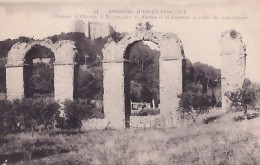 MEYRARGUES           CHATEAU  D ALBERTAS ET RUINES - Meyrargues