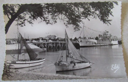 CPSM CARTE POSTALE  BAC DE ROYAN  " CORDOUAN"  AU VERDON ( GIRONDE) - Transbordadores