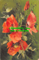 R476095 Poppies. Tuck. Art Series No. 6996 - World