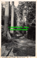 R476363 Woodland Park. Postcard - World