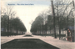 CPA Carte Postale Belgique Bruxelles Une Allée Dans Le Parc    VM79929 - Forêts, Parcs, Jardins