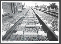 1948  --  BELGIQUE . EN GARE DE TERNAL . 4A978 - Sin Clasificación