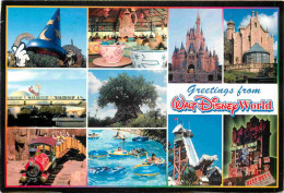 Parc D'Attractions - Walt Disney World - Multivues - CPM - Voir Scans Recto-Verso - Disneyworld