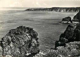 22 - Le Cap Fréhel - Pointe De La Teignouse Et Vue Sur Le Fort La Latte - Mention Photographie Véritable - CPSM Grand Fo - Cap Frehel