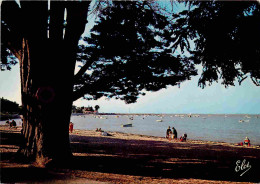 17 - Fouras - La Plage Nord - Au Fond Le Port - CPM - Voir Scans Recto-Verso - Fouras-les-Bains