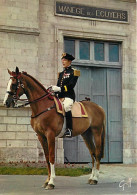 Animaux - Chevaux - Saumur - Le Cadre Noir - Officier Du Cadre Noir - Carte Neuve - CPM - Voir Scans Recto-Verso - Chevaux