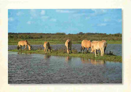 Animaux - Chevaux - La Cote Picarde - Somme - Le Crotoy - Chevaux à La Bassée - CPM - Voir Scans Recto-Verso - Cavalli