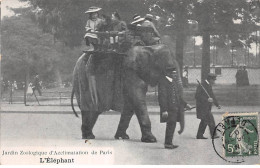 75016 - PARIS - SAN35059 - Jardin Zoologique D'Acclimatation - L'Eléphant - Arrondissement: 16