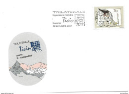 413 - 64 -  Enveloppe Avec Oblit Mécanique "Trilaterale Expo Ticino 2003" - Postmark Collection