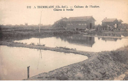 17 - LA TREMBLADE - SAN43220 - Culture De L'huître - Claires à Verdir - Métier - Agriculture - La Tremblade