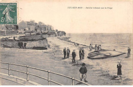 14 - LUC SUR MER - SAN43181 - Baleine échouée Sur La Plage - Luc Sur Mer