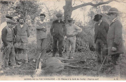 CHASSE - SAN37922 - Chasse à La Forêt De Cerisy : Pauvre Cerf - Hunting