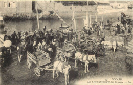 35 DINARD. Les Commissaires Sur La Cale. Bateaux De Pêches Et Attelages Pour Transports Du Poisson - Dinard