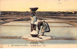 85.AM19148.Les Marais Salants.N°5.La Récolte Du Sel.Agriculture - Sonstige & Ohne Zuordnung
