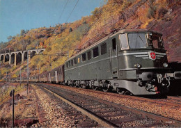 SUISSE - SAN58823 - Lokomotive Ae 6/6 Of The SFR Ont The Gotthard Line - CPSM 15x10 Cm - Autres & Non Classés