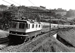 SUISSE - SAN58854 - Train à Localiser - SBB CFF RE4/4 II 11158 11161 11249 11253 - TEE Helvetia Roland  - CPSM 15x10 Cm - Autres & Non Classés