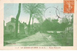 94 - LA QUEUE EN BRIE - SAN56073 - Route Nationale - La Queue En Brie