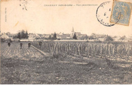 37 - CHANNAY - SAN54409 - Vue Panoramique - Agriculture - Sonstige & Ohne Zuordnung