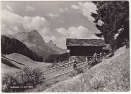 Splügen. In Der Rüti - (Schweiz/Suisse/Switzerland) - 1961 - Splügen