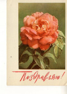 RUSSIA [USSR]: 1968 GREETINGS CARD, FLOWER, ROSE Unused Postal Stationery Card - Registered Shipping! - 1960-69