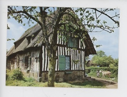 Luxuriante Normandie : Chaumières Normandes (cp Vierge N°10/7429) Animée Fermière Et Sa Vache - Haute-Normandie