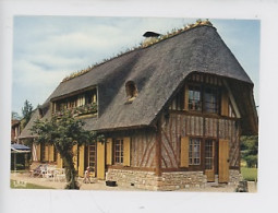 Luxuriante Normandie : Maison Normande Au Toit De Chaume - Cp Vierge N°1759 Cap - Basse-Normandie