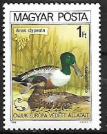 Hungary (Magyar) - MNH ** 1980 :    Northern Shoveler  -  Spatula Clypeata - Patos