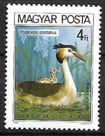 Hungary (Magyar) - MNH ** 1980 :    Great Crested Grebe  -  Podiceps Cristatus - Sonstige & Ohne Zuordnung