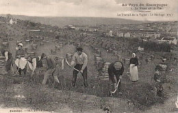 Ouvriers Vignerons. Le Travail De La Vigne . Le Béchage . - Paysans