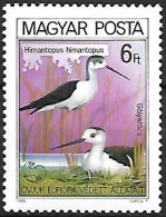 Hungary (Magyar) - MNH ** 1980 :      Black-winged Stilt  -  Himantopus Himantopus - Sonstige & Ohne Zuordnung