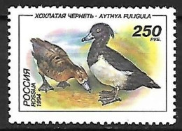 Russia - MNH ** 1994 - Tufted Duck  -  Aythya Fuligula - Ducks