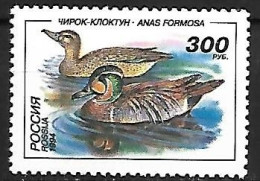 Russia - MNH ** 1994 -  Baikal Teal -   Sibirionetta Formosa - Patos