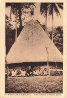 FRANCE - Nouvelle Calédonie - Vue Sur La Hutte Indigène Et Fétiche Canac - Animé - Carte Postale Ancienne - Nouvelle Calédonie