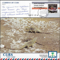 Cuba 2004. Entier Postal, Envoi International. Cayo Largo, Iguanes Communistes - Altri & Non Classificati