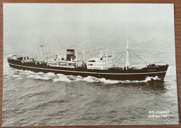 124 - M.S Topeka - Other & Unclassified