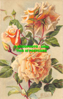 R476196 Rose Lady Roberts. F. Champenois. Marque L. E - Mundo