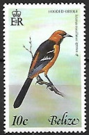Belize - MNH ** 1977 :  Hooded Oriole  -  Icterus Cucullatus - Uccelli Canterini Ed Arboricoli