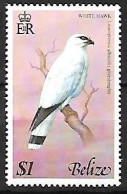 Belize - MNH ** 1977 :   White Hawk  -  Pseudastur Albicollis - Eagles & Birds Of Prey