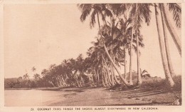 FRANCE - Coconut Trees Frince The Shores Almost Everywhere In New Caledonia - Carte Postale Ancienne - Nouvelle Calédonie