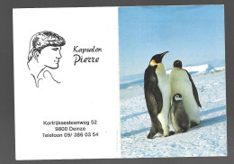 Deinze Kortrijksesteenweg Kapsalon Pierre Kalender 1995 Calendrier Htje - Kleinformat : 1991-00