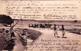 Egypte - Sur La Route Du CAIRE - 1904 - Autres & Non Classés