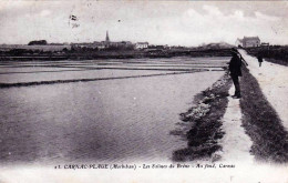 56 - Morbihan - CARNAC PLAGE  - Les Salines Du Bréno - Au Fond Carnac - Carnac