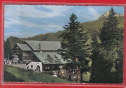 Carte Postale 74. Thollon  Brasserie  Le Belvédère  Très Beau Plan - Thollon