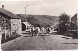 Orchimont :  Vers Vresse      ( Ecrit Avec Timbre ) - Vresse-sur-Semois