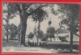 Carte Postale 18. Villabon  La Grande Place Très Beau Plan - Autres & Non Classés