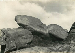 22 - Ploumanach - Parmi Les Rochers Bizarres Le Sabot Renversé - CPSM Grand Format - Carte Neuve - Voir Scans Recto-Vers - Ploumanac'h