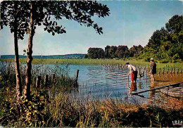 40 - Landes - Dans Un Des Nombreux étangs Des Landes Les Joies De La Peche - CPM - Voir Scans Recto-Verso - Sonstige & Ohne Zuordnung