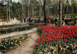 17 - La Palmyre - Les Trémières - Fleurs - CPM - Voir Scans Recto-Verso - Les Mathes